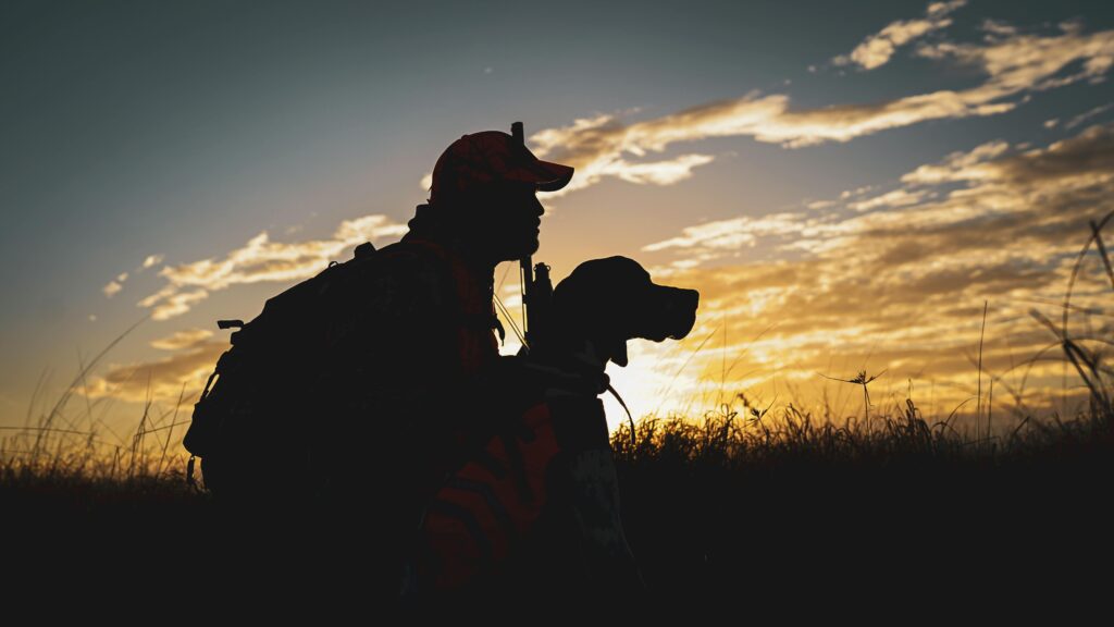 Garmin vs SportDOG